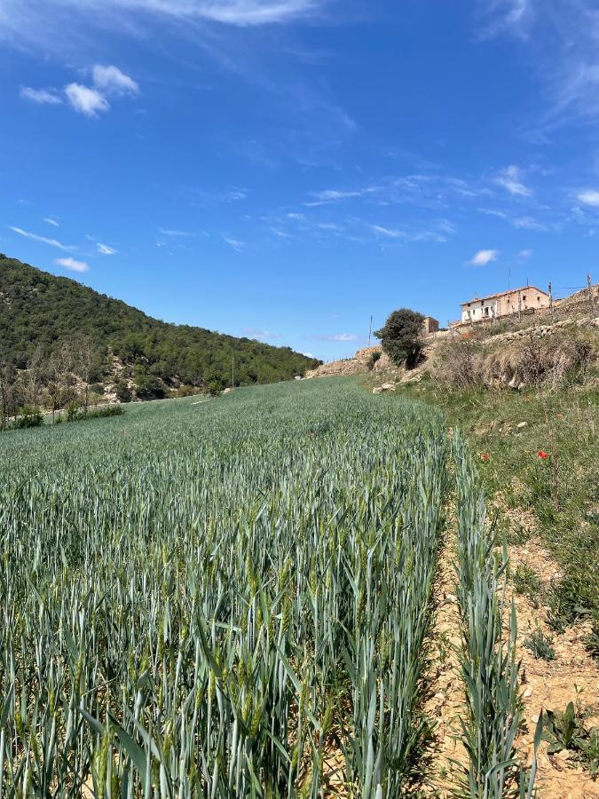 Masia La Perera Morella Exterior foto
